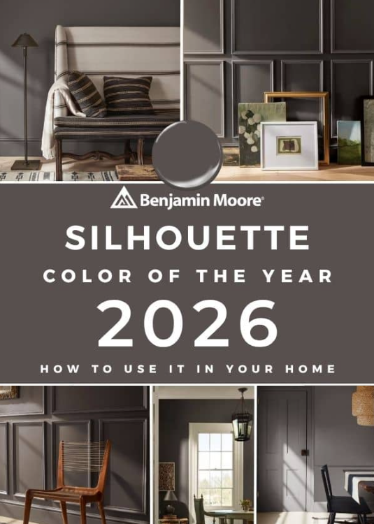 Bold, Warm, and Effortlessly Sophisticated: Meet Benjamin Moore’s 2026 Color of the Year — Silhouette