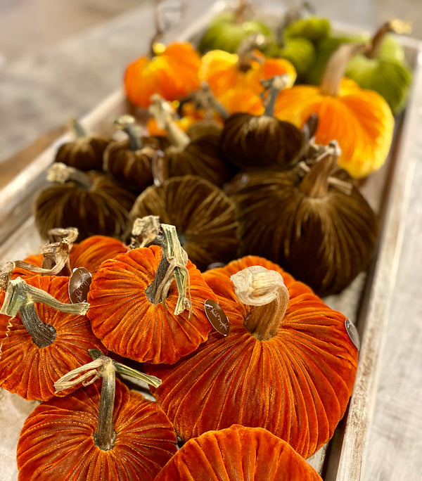 Simple fall decorating tips!