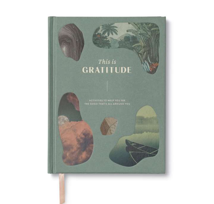 This Is Gratitude Journal