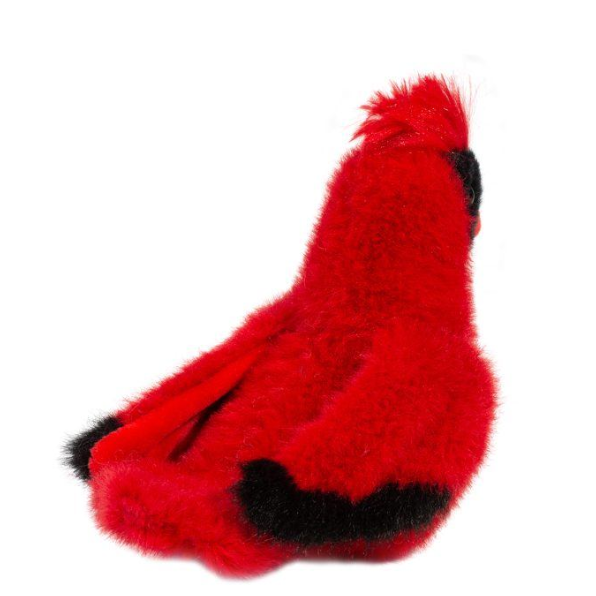 Carmine Cardinal