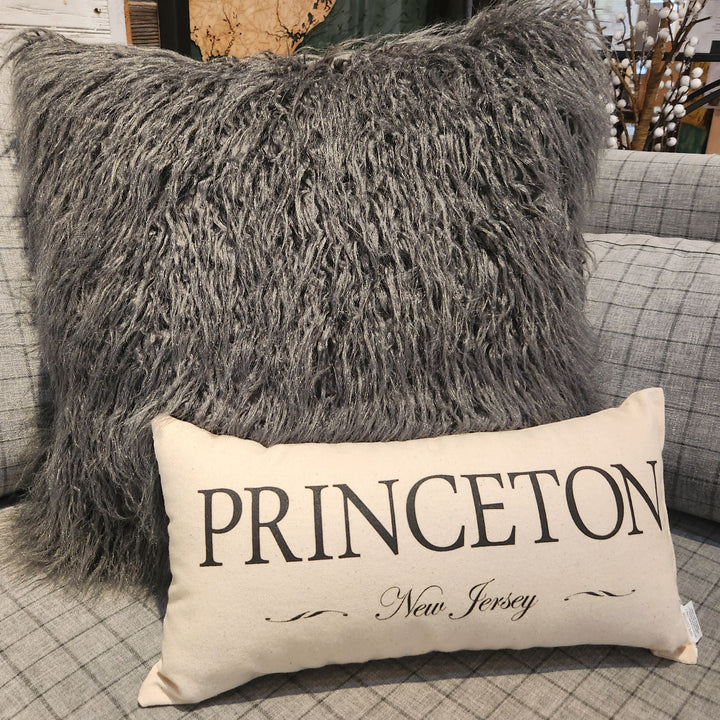 Small Princeton Pillow