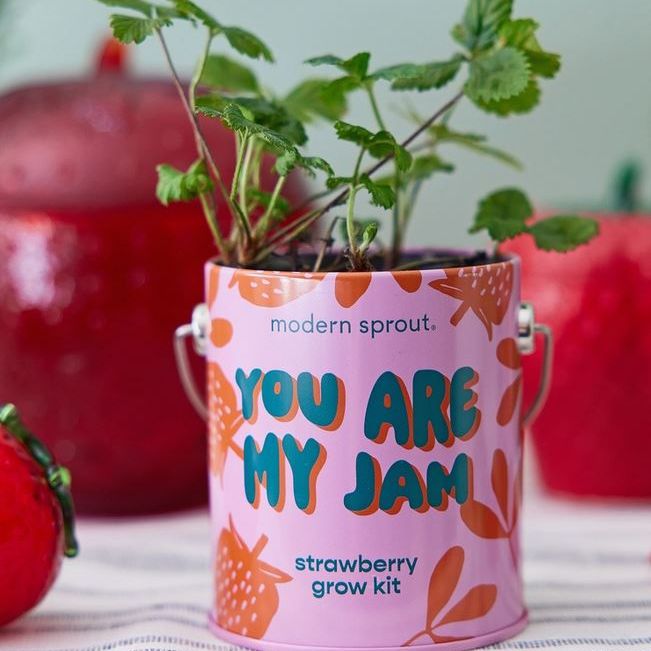 You Are My Jam Strawberry Grow Kit