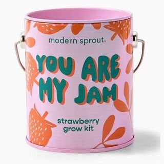 You Are My Jam Strawberry Grow Kit