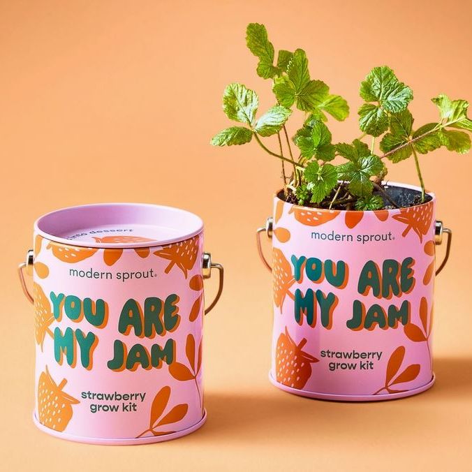 You Are My Jam Strawberry Grow Kit