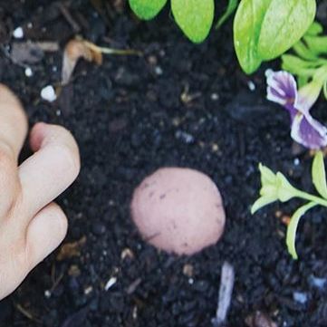 Grow Good Times Seed Bomb