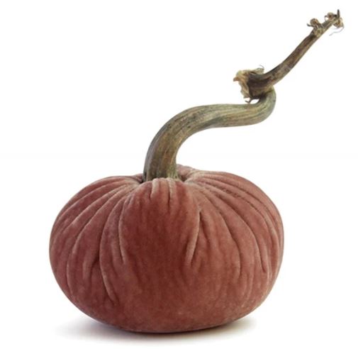 5"Blush Pumpkin