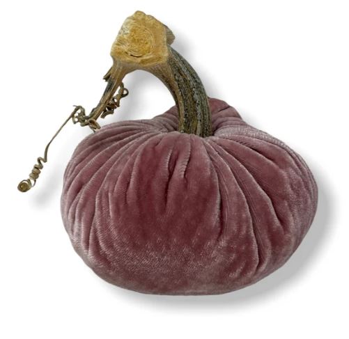 5"Blush Pumpkin