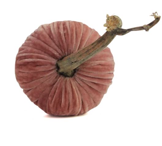 5"Blush Pumpkin