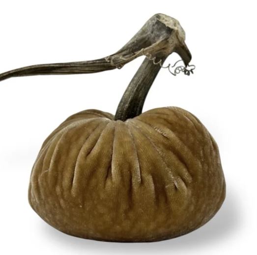5" Honey Pumpkin
