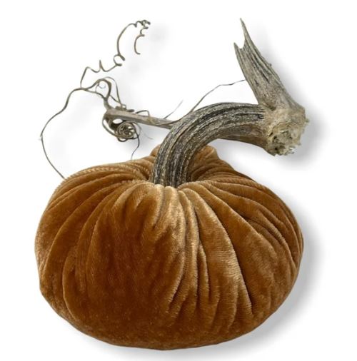 5" Spice Pumpkin