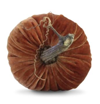 5" Spice Pumpkin