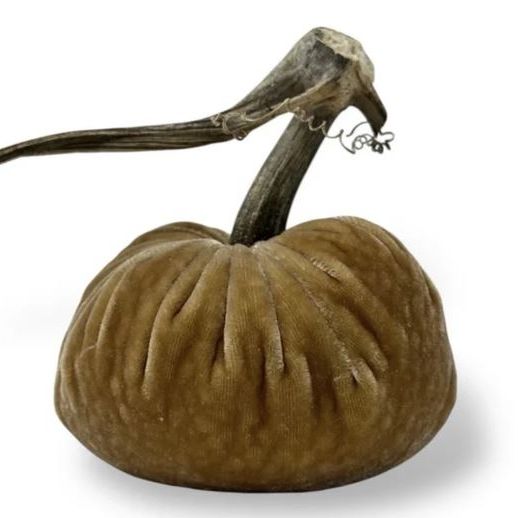 6" Honey Pumpkin