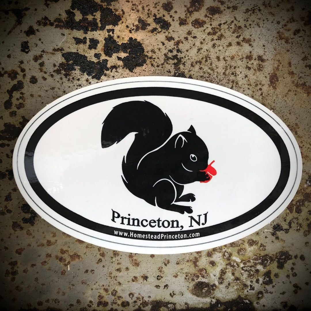 Black Squirrel Euro Sticker