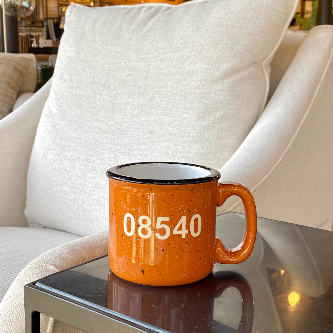 Princeton 08540 Zip Code Mug