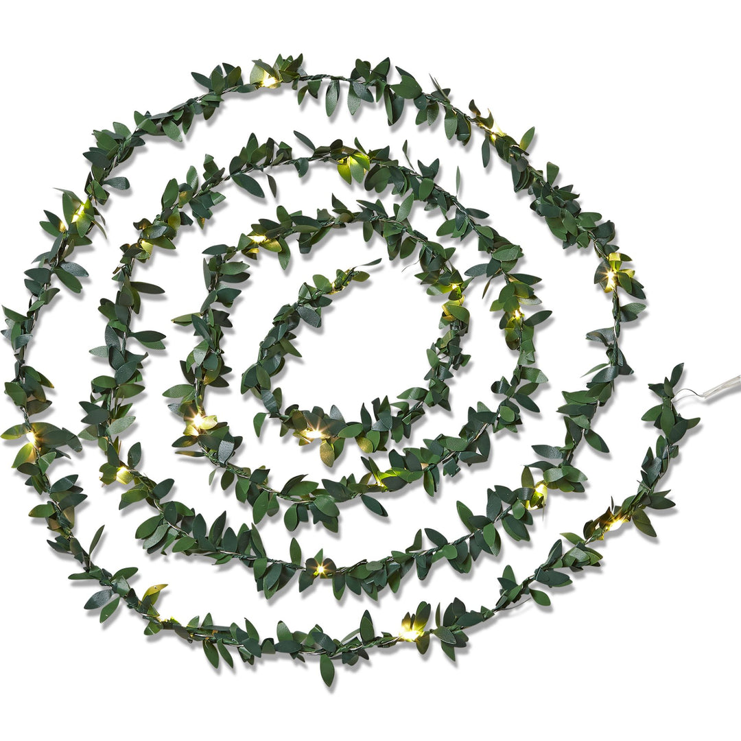Laurel Leaf Lights
