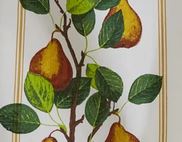 Pear Cotton Dishtowel