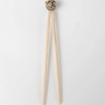 Cat Training Chopsticks
