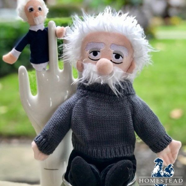 Einstein Little Thinker