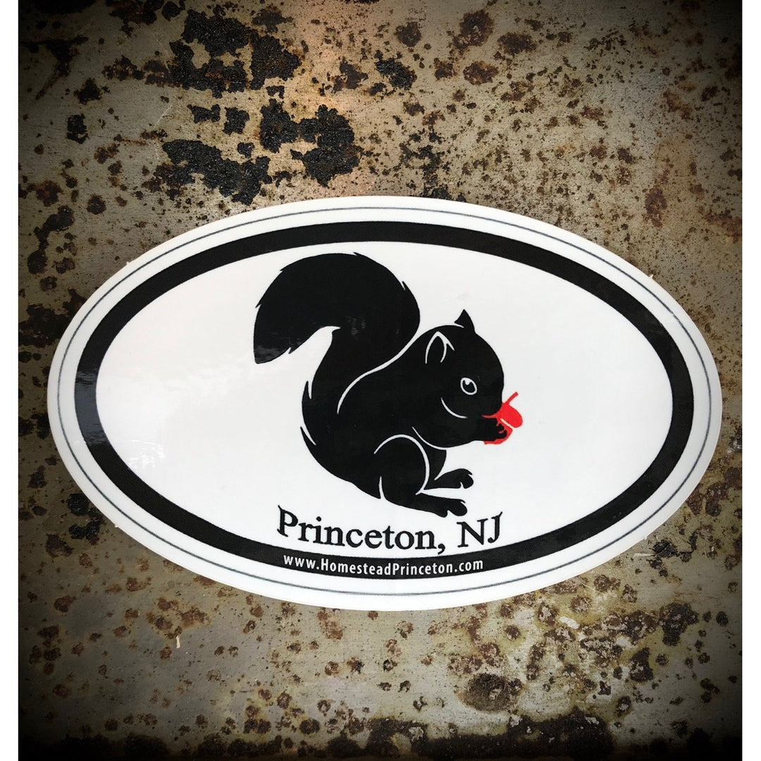 Black Squirrel Euro Sticker