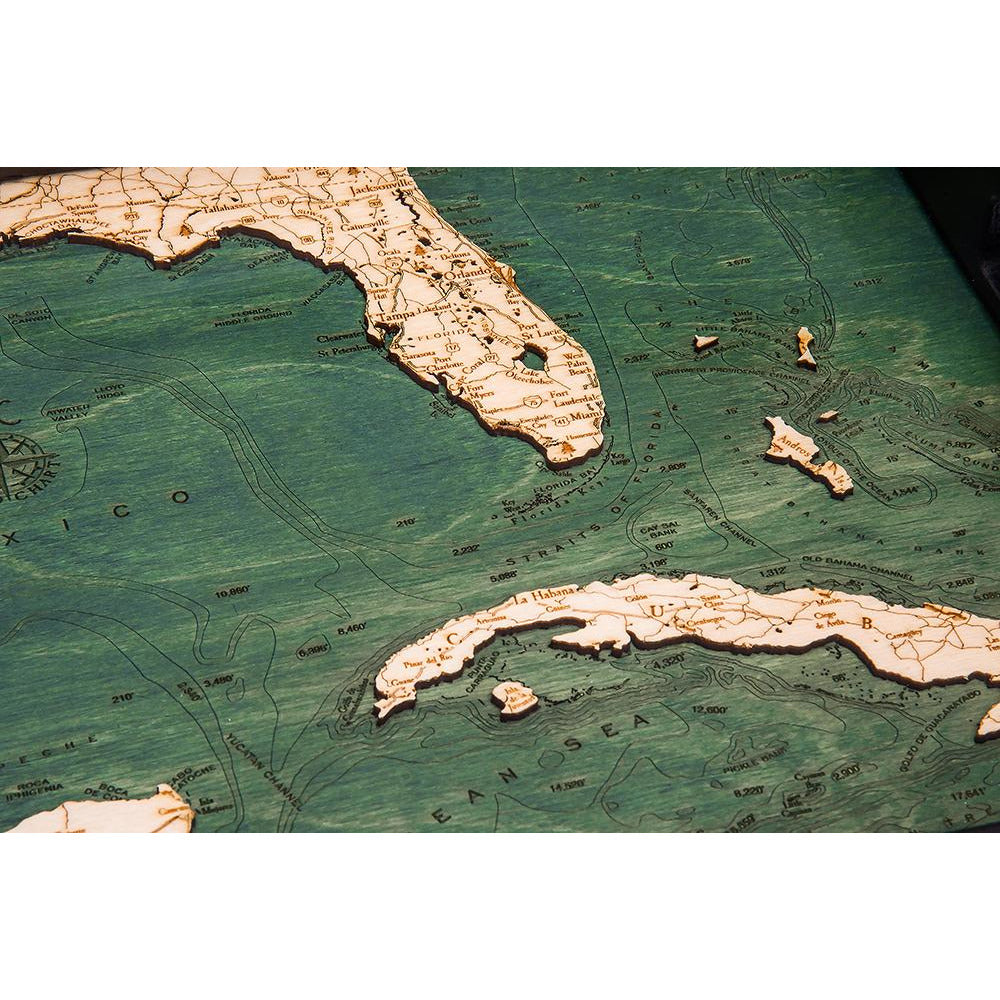 Gulf of Mexico Tray