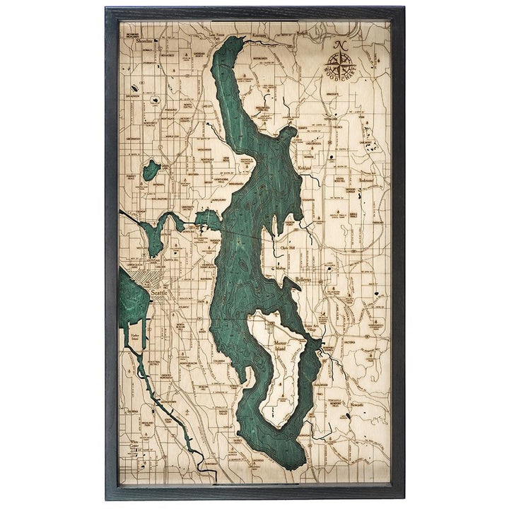 Lake Washington Tray