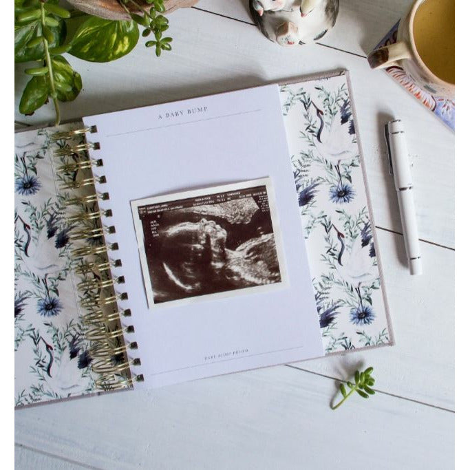 Bump. My Pregnancy Journal