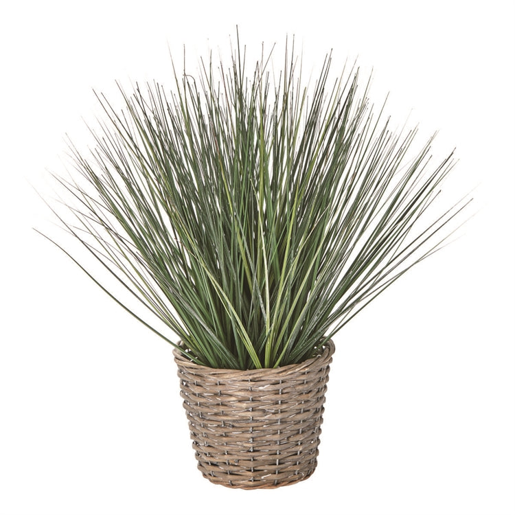 Chelsea Potted Grass