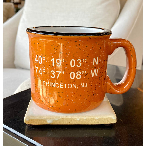 Princeton Coordinates Mug