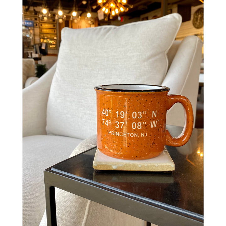 Princeton Coordinates Mug