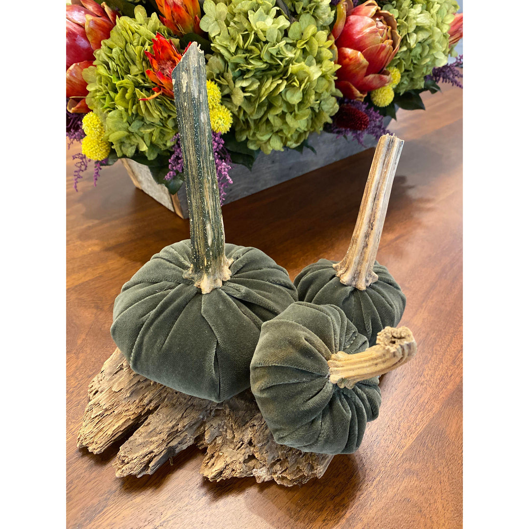 Medium Moss Green Pumpkin