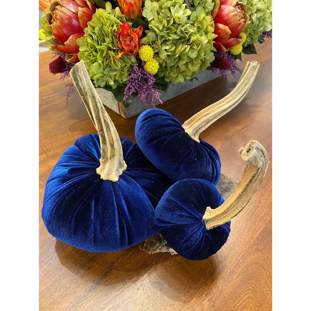 Small Navy Velvet Pumpkin