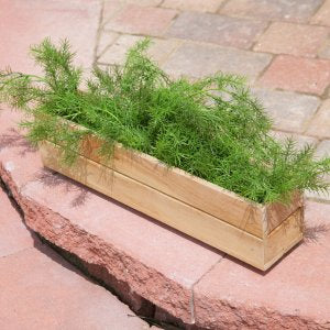 Herb Box