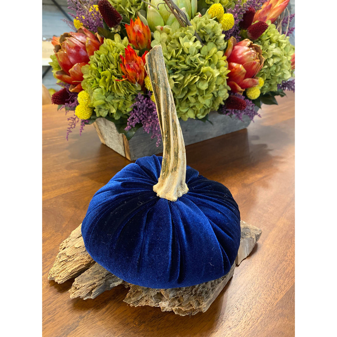 Large Navy Velvet Pumpkin