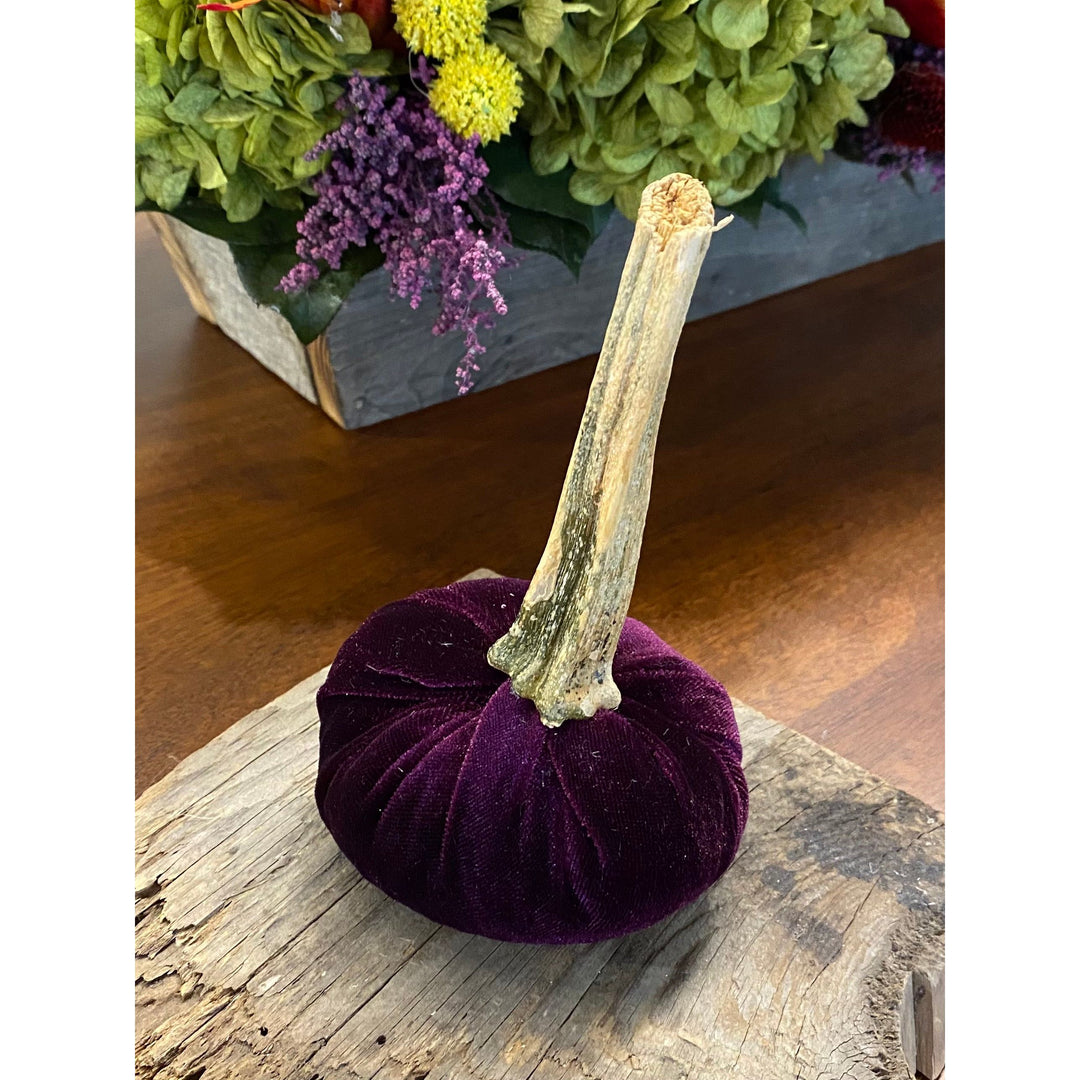 Small Eggplant Velvet Pumpkin