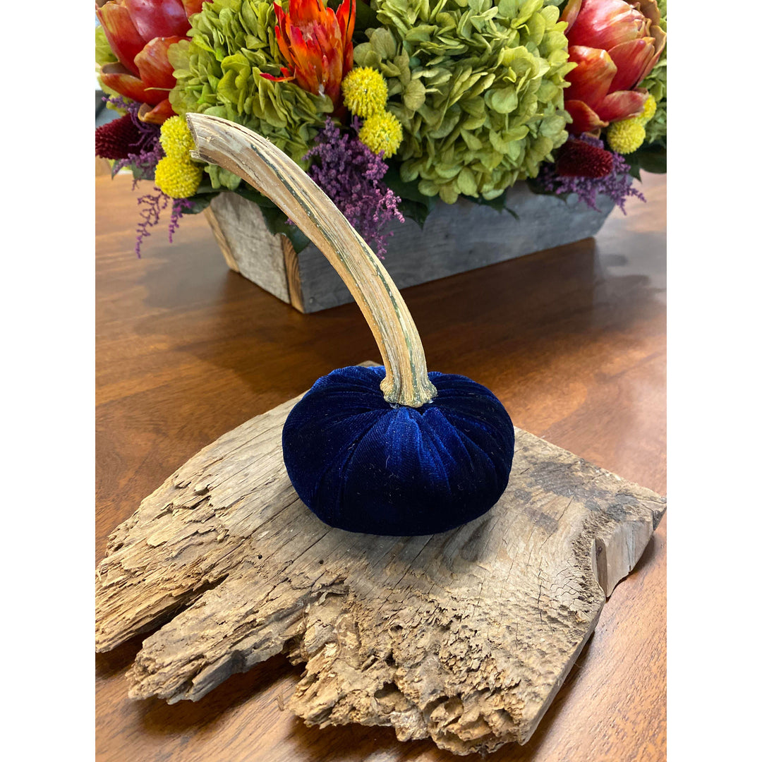 Small Navy Velvet Pumpkin